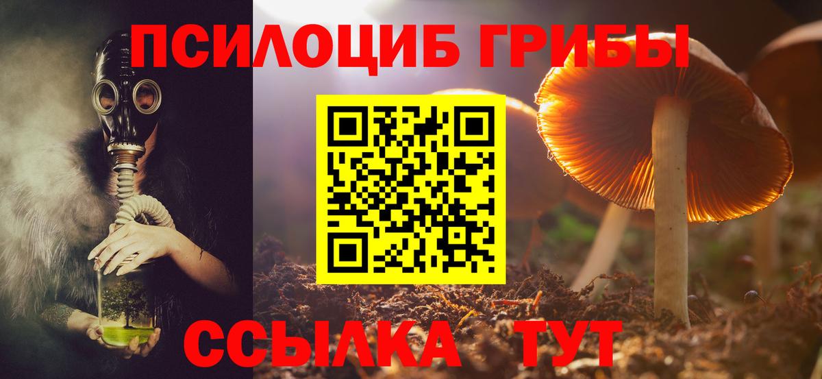 Кемерово  Псилоцибиновые грибы Magic Shrooms  Вход с VPN  Псилоцибиновые грибы ЛСД 